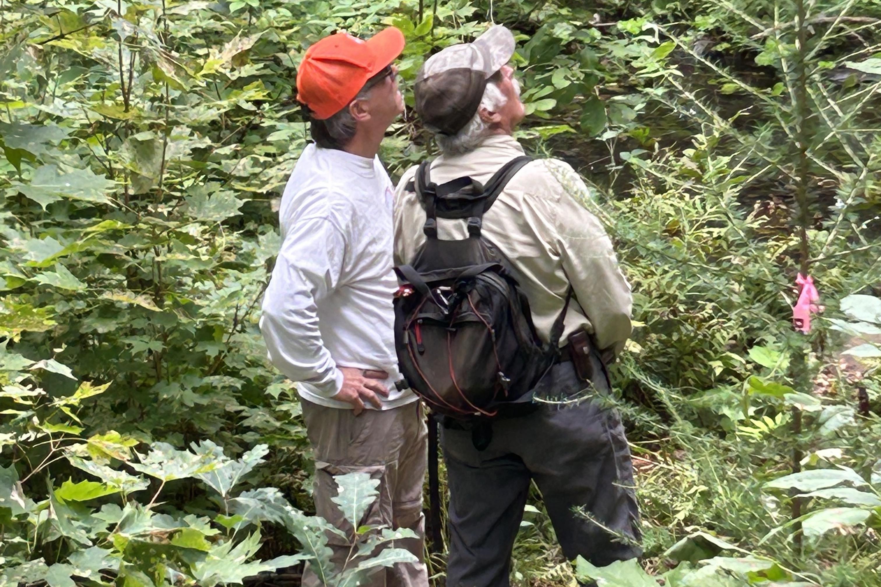 Legacy Planning Webinar Series for Consulting Foresters — Vermont ...