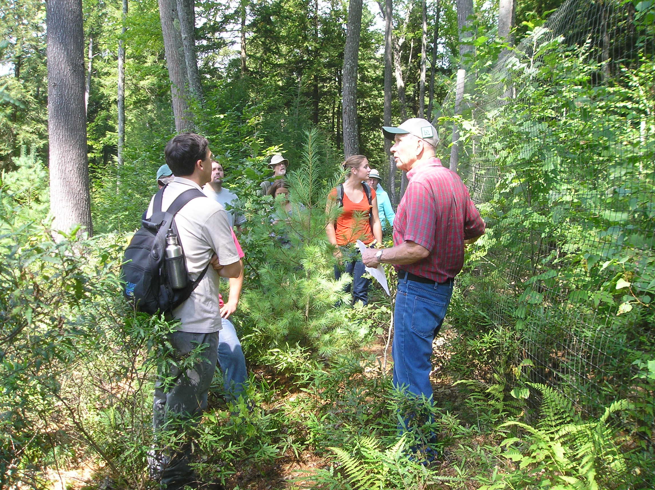 In Memory of Putnam Blodgett - Vermont Woodlands Association