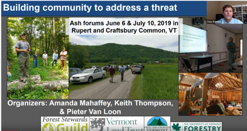 Managing Emerald Ash Borer and Climate Change - Vermont Woodlands ...